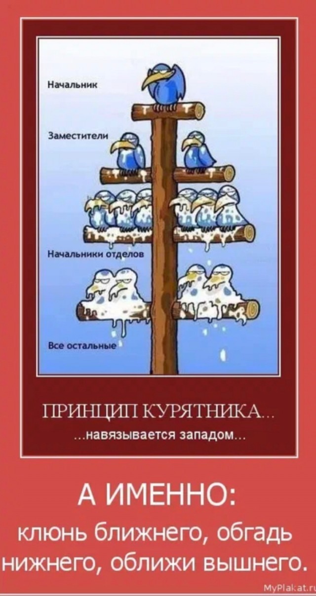 Про некомпетентное, но очень целеустремленное руководство.