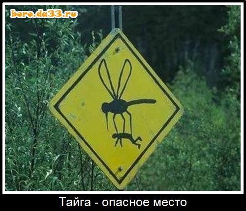 Спасибо Собянину.