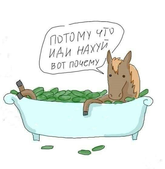 Такая вот куйня