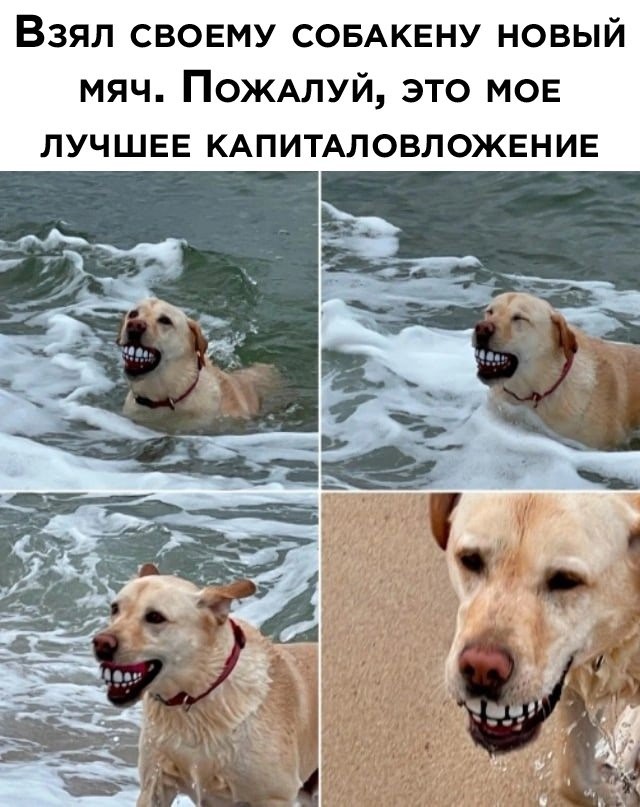 Картинки для деградации 253 (разной степени свежести)