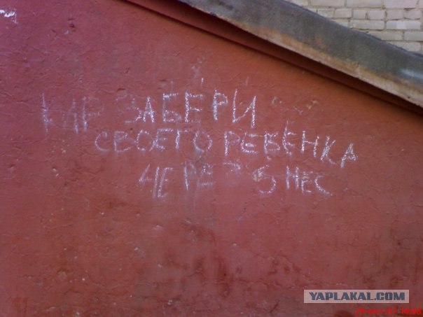 Жизнь вокруг меня