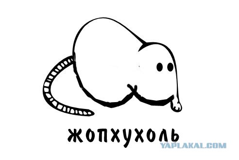 Классификация выхухолей