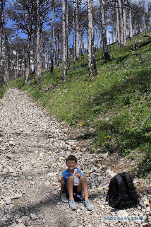 Дорога из Киева и из Москвы в Ялту.