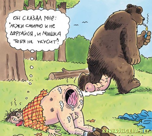 НАТО начало охоту на русского медведя
