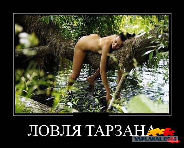 Смешное из сети