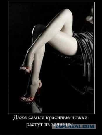 Веселые картинки