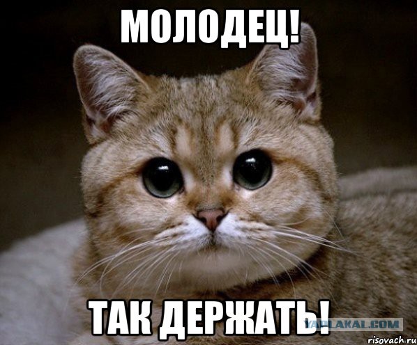Волшебный носок
