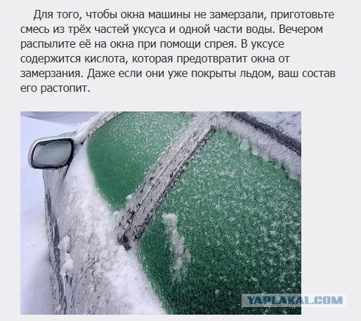 20 фактов обо всем