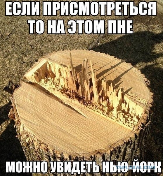 Забавные картинки из интернетов