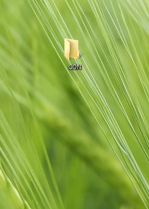 55 Интересных фактов.