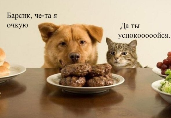 Демотиваторы вторника