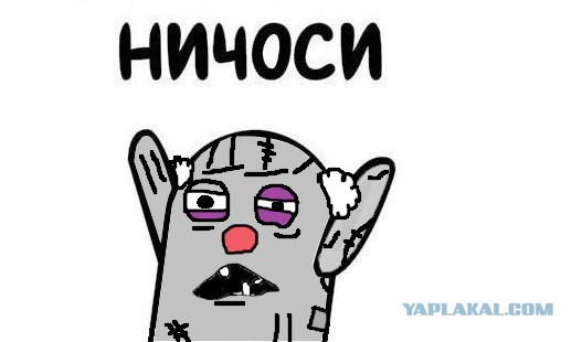 Ответ юзеров сети на появление нового мема Ничоси