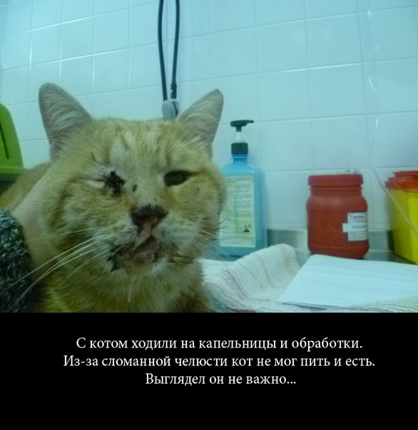 Что может сотворить любовь и забота