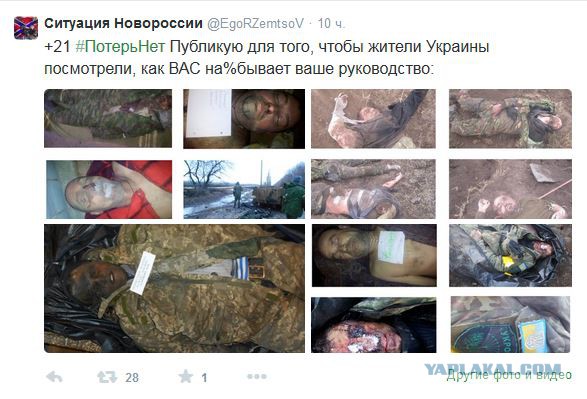 Перемирие кончилось, едва начавшись. Часть 8