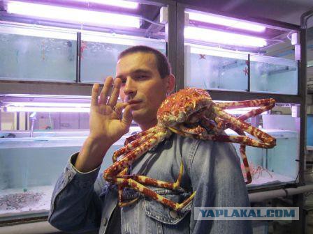 Приветы с рабочих мест ЯПовчан