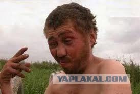 Четкая семейка!