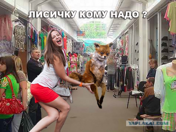Фотожаба: чего-то хочется....