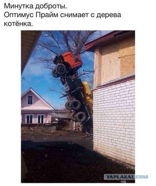 Котовторник