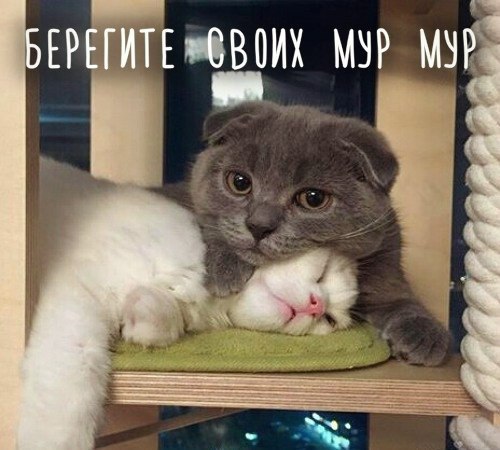 Свежая подборка прикольных картинок