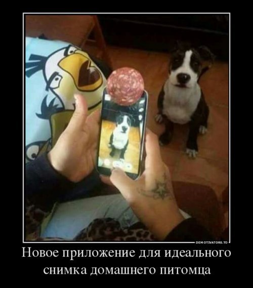 Картинки из сети, подборка