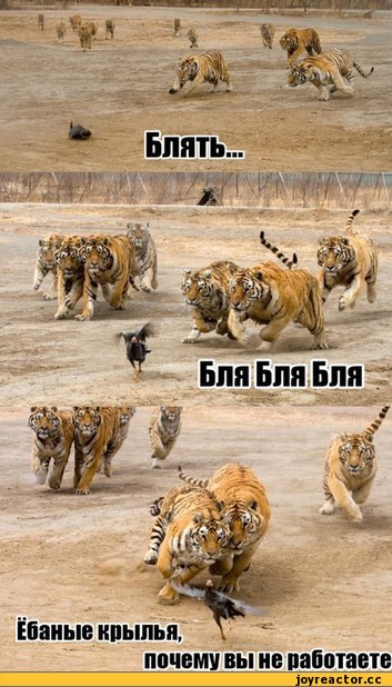 В таких ситуациях лучше и не скажешь!