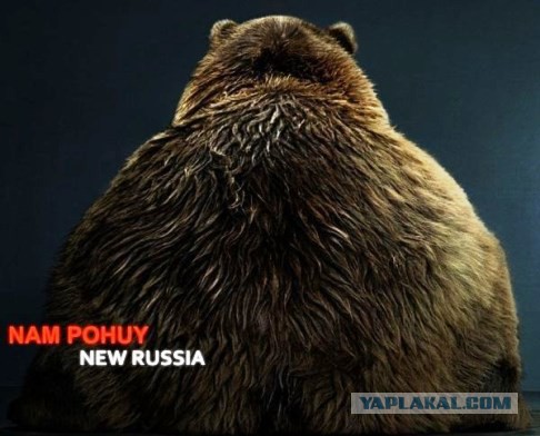Прессволл для МИД РФ