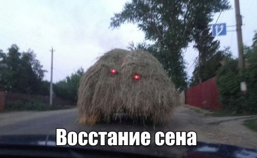 Картинки разные из сети