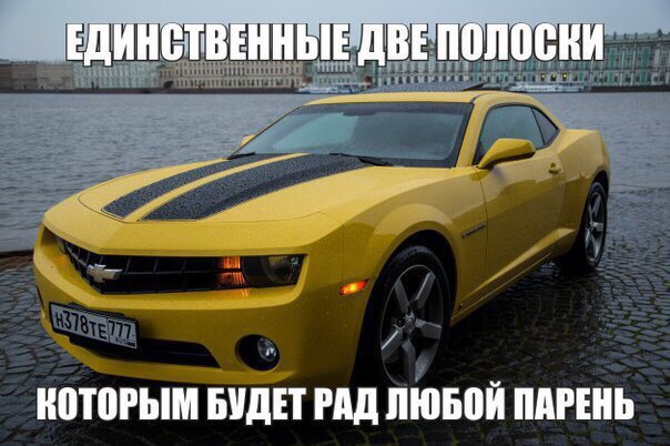 Ассорти картинок из сети