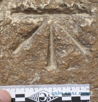 Пора вари... валить бетон! "Альты", шах и мат!