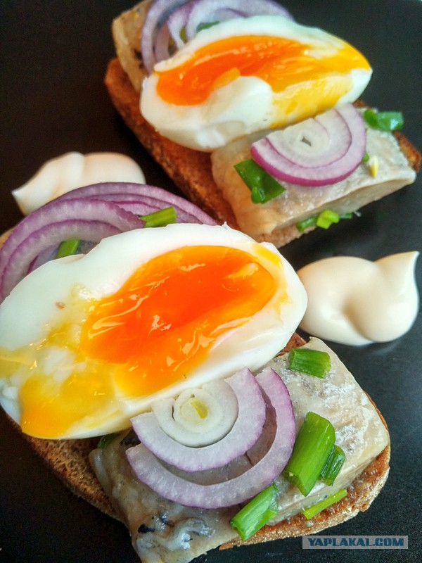 Скумбрия малосольная