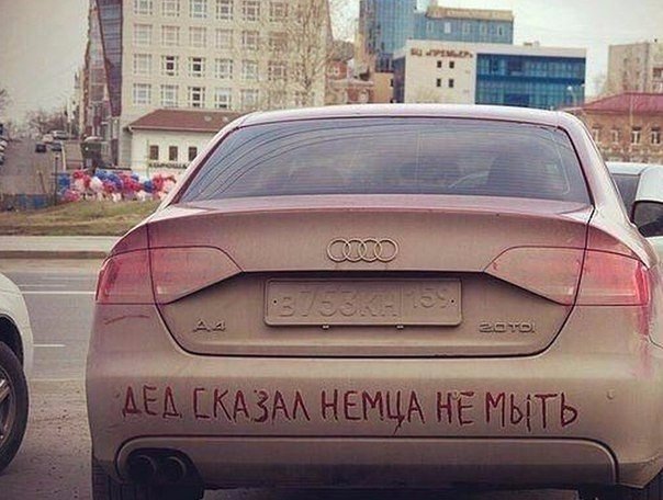 Подборка безудержного веселья