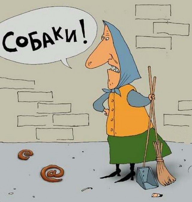 Такое время — страшно за собак