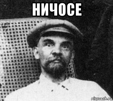 Тарантино отдыхает