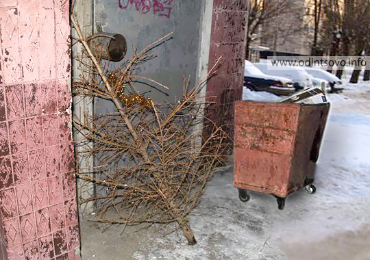 Помоечник? Нет, это мое хобби
