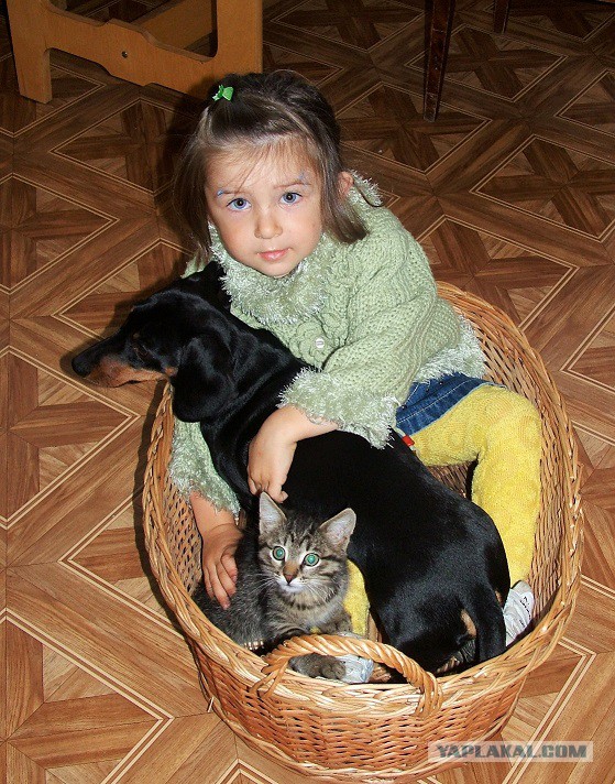 Чуткий нос в собакочетверг