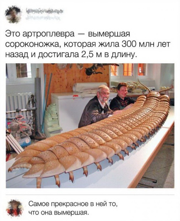 Прикольные картинки обо всем