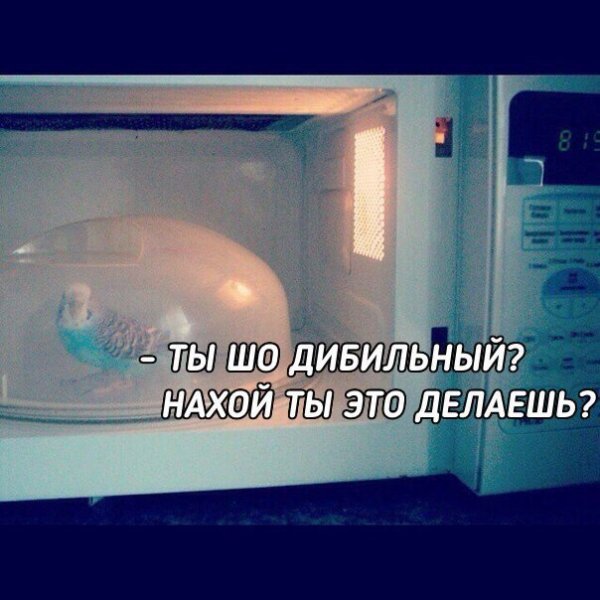 Нестандартный юмор