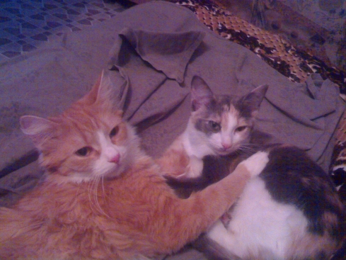 КОТовторник 13.04.2010г.