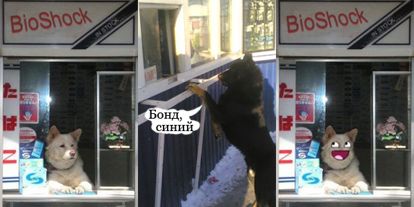 Пива, пожалуйста