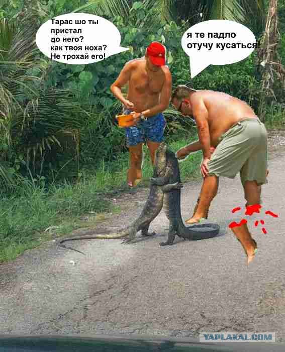 Встреча старых друзей