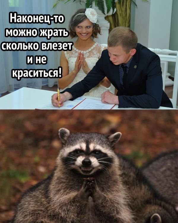 Дегенеративные картинки для умственноотсталых