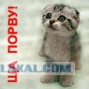 К сожалению, день рожденья..