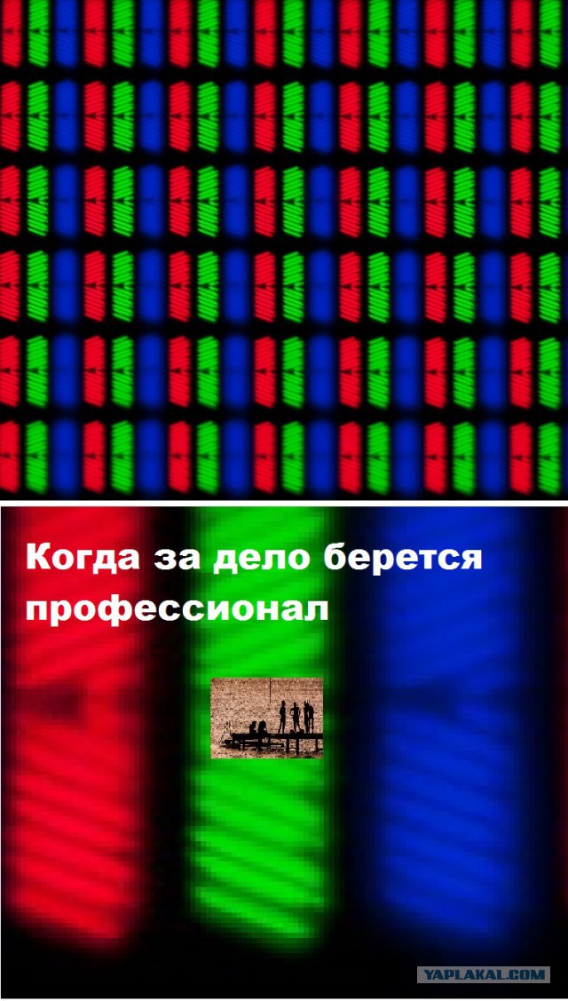Странная штука в Антарктиде