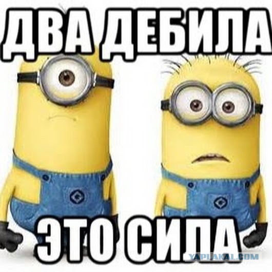 Двое водителей устроили в Пушкине дуэль