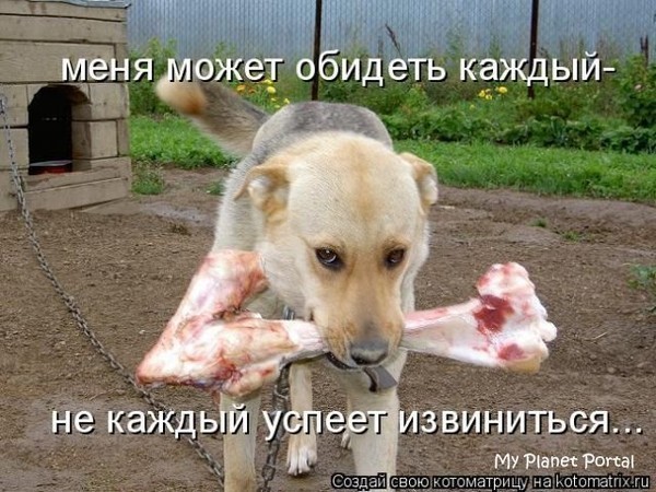 Чёрный юмор, который почему-то еще не запретили в России