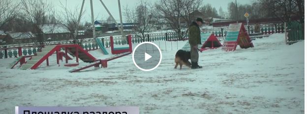 Яжемать добивается закрытия площадки для дрессировки собак