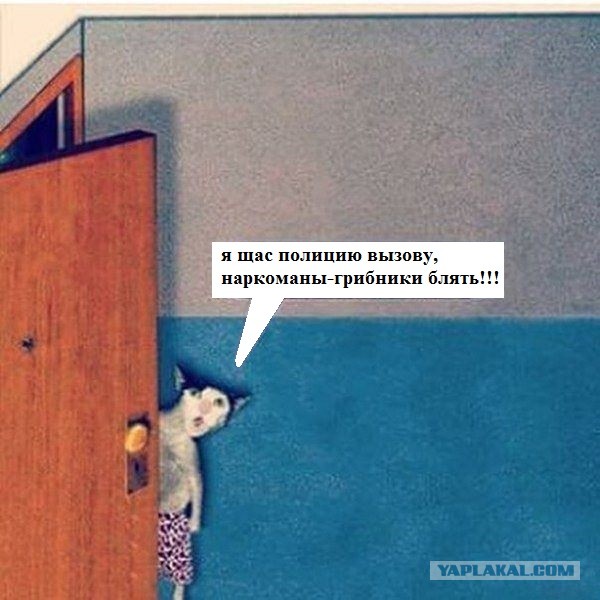 Поиграем в игру?