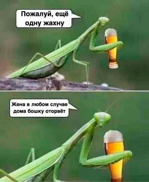 Кучка картинок №2