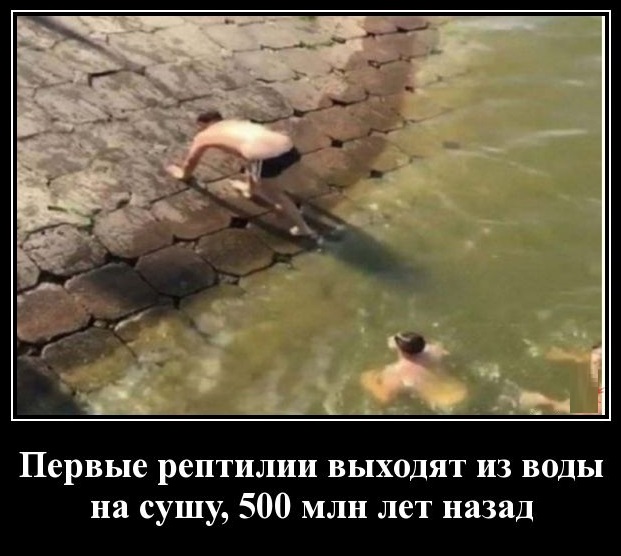 Так себе картинки 09.06.20