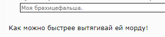 Брахицефалия: Мука длиною в жизнь. Правда о всех «плоскомордых» породах собак